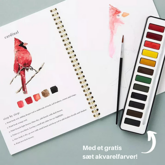 Akvarella™ | Sæt gang i din kreativitet med vores sjove akvarel-arbejdsbog!